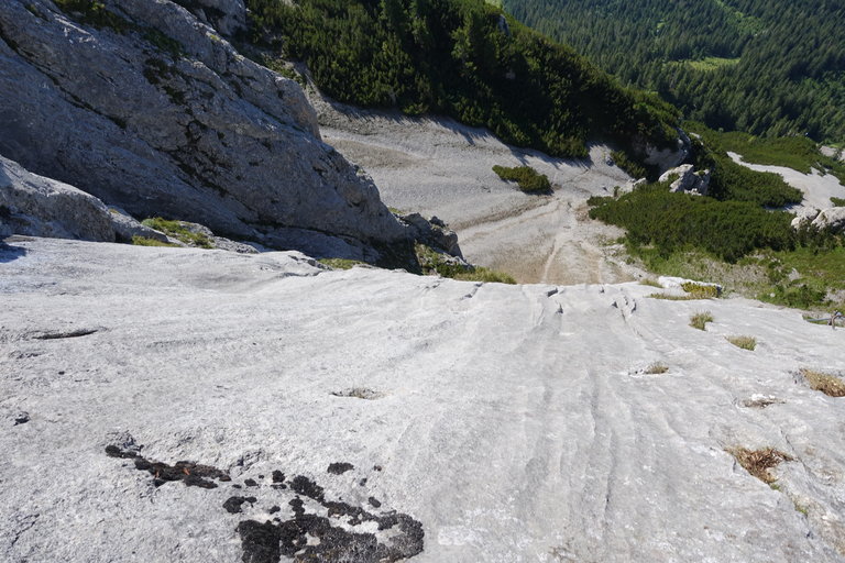 Klettersteiggarten am Stoderzinken - Impression #2.16 | © Alois Guggi 