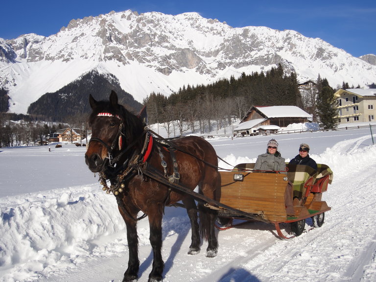 Horse Drawn Sleigh Rides Kielerhof - Impression #2.1 | © Kielerhof