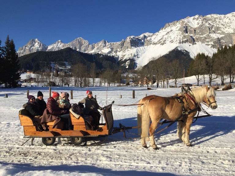 Horse Drawn Sleigh Rides Kielerhof - Impression #2.2 | © Kielerhof