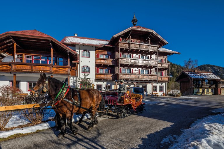 Horse Drawn Sleigh Rides Peterbauerhof - Impression #2.3 | © Peterbauerhof