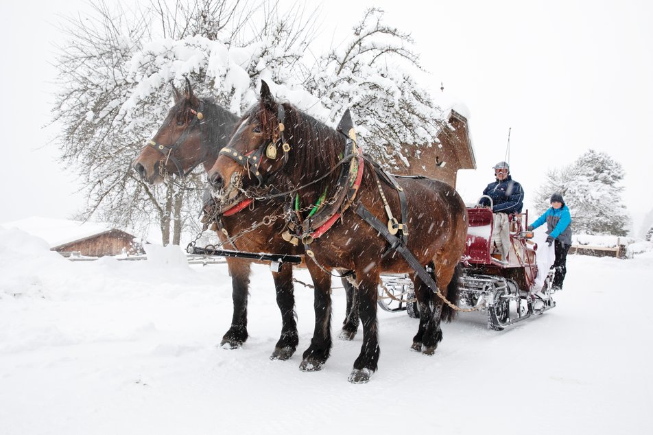 Horse Drawn Sleigh Rides Peterbauerhof - Impression #1 | © Peterbauerhof