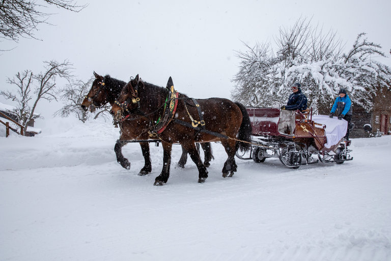 Horse Drawn Sleigh Rides Peterbauerhof - Impression #2.2 | © Peterbauerhof