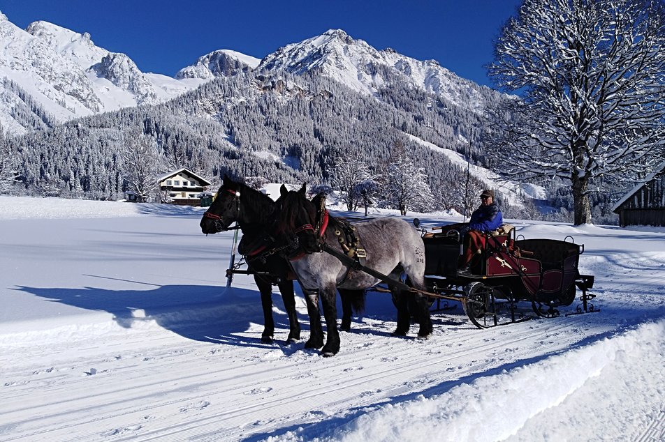 Horse Drawn Sleigh Rides Wagnerhof - Impression #1 | © Wagnerhof