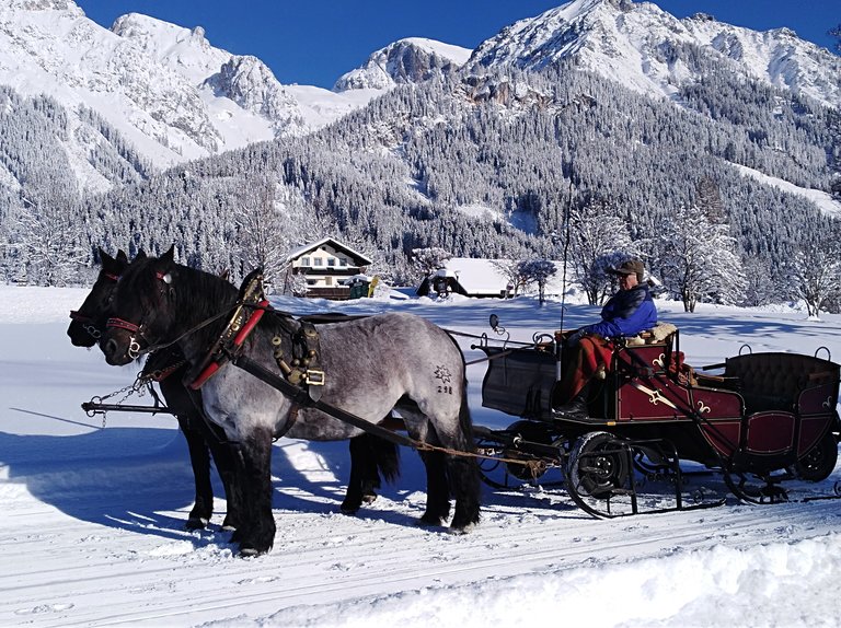 Horse Drawn Sleigh Rides Wagnerhof - Impression #2.1 | © Wagnerhof