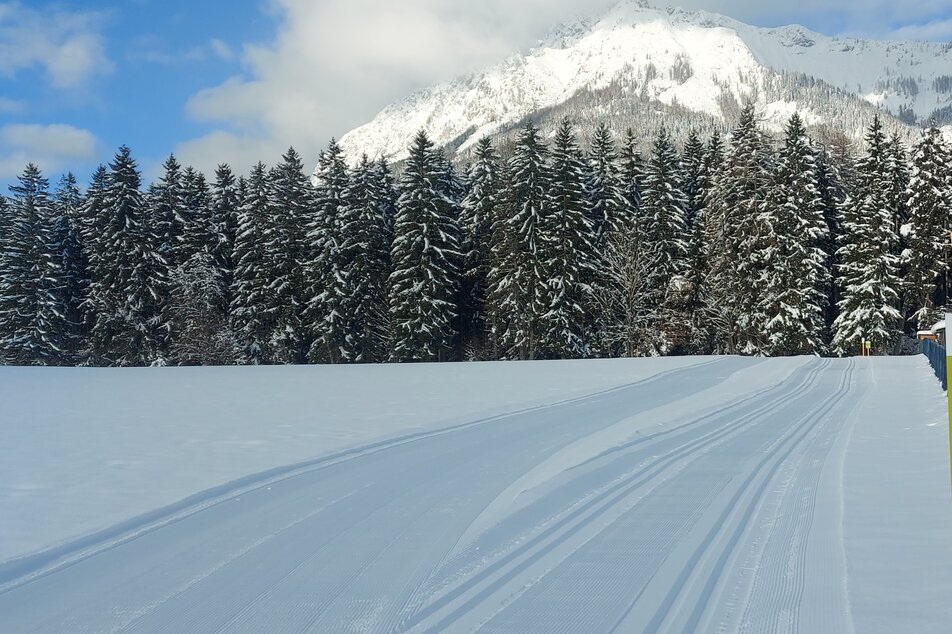 Die Loipen am Mitterberg beim Fußballplatz - Skating und Klassisch | © Gemeinde Mitterberg Sankt-Martin/Erlebnisregion Schladming-Dachstein