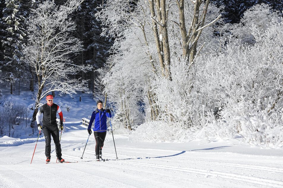 Running next to each other on Almenrunde (skating) and Kristallloipe (classical) | © Gerhard Pilz/Tourismusverband Schladming - Martin Huber