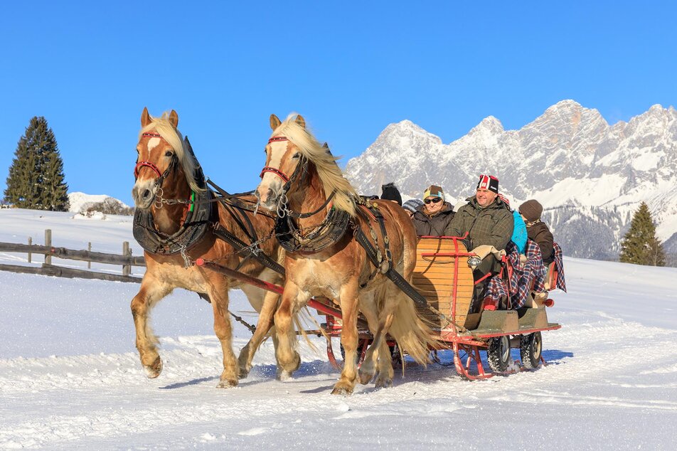 Über die Rohrmooser Frei mit dem Pferdeschlitten - im Hintergrund das Dachstein-Panorama | © Martin Huber/Tourismusverband Schladming - Martin Huber