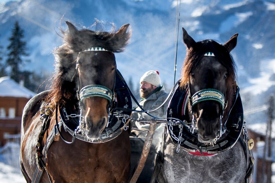 © Tom Lamm/Erlebnisregion Schladming-Dachstein