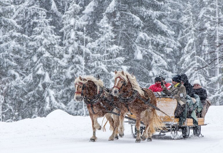 Pferdeschlittenfahrten Ramsau (Kirchen-) Geschichten und Winterlandschaft - Impression #2.1