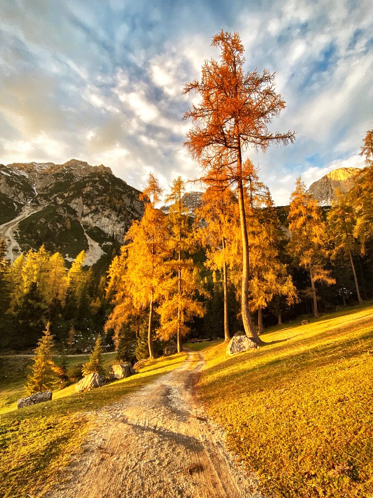 Lärchbodenalm - Impression #2.17 | © ©KajetanGerharter 