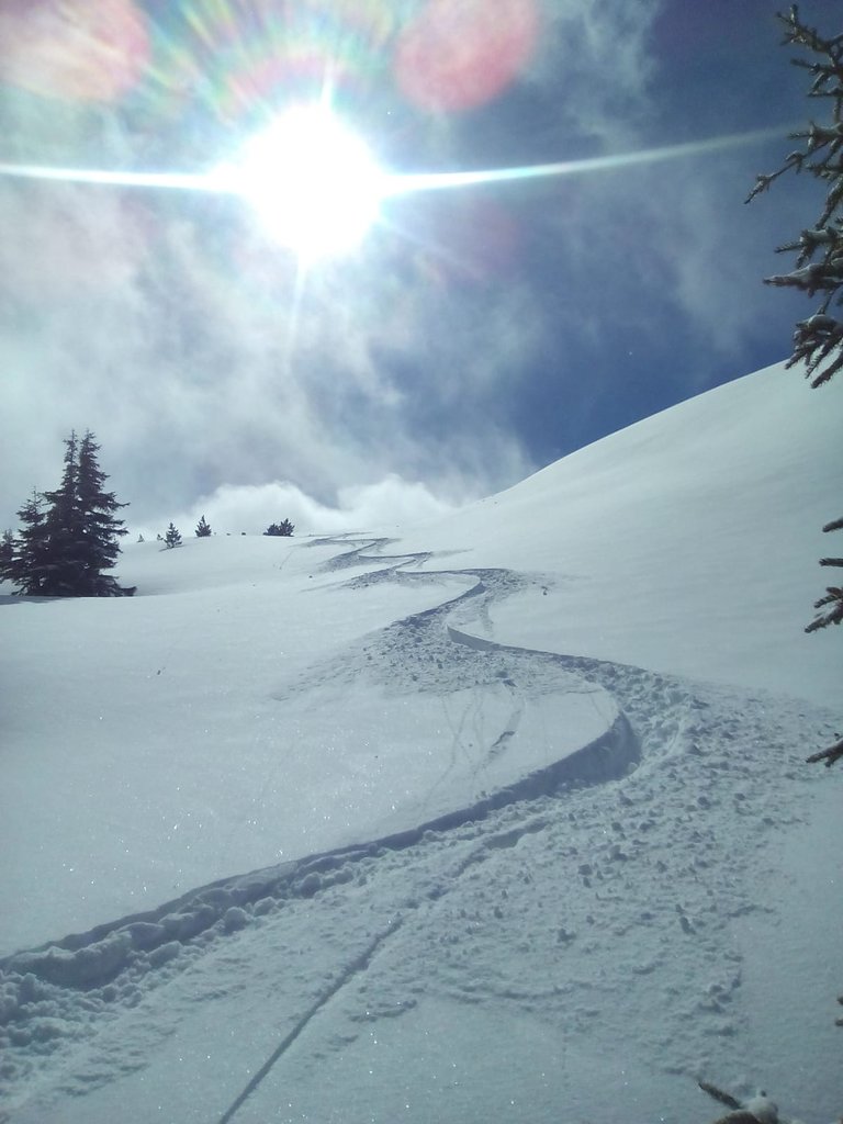 Mountain- and ski guide Heli Stocker - Impression #2.2 | © Heli Stocker