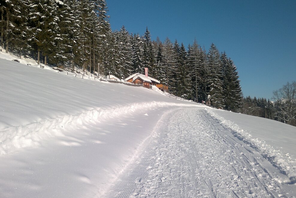 Sattelberghütte - Impression #1.2