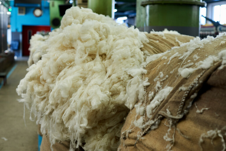 Steiner1888 wool world - Impression #2.3 | © Steiner1888, Fotograf: Martin Gebeshuber