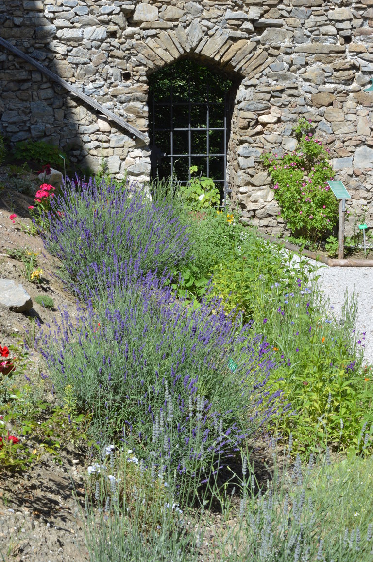 Gartenstammtische im Jesuitengarten - Impression #2.2