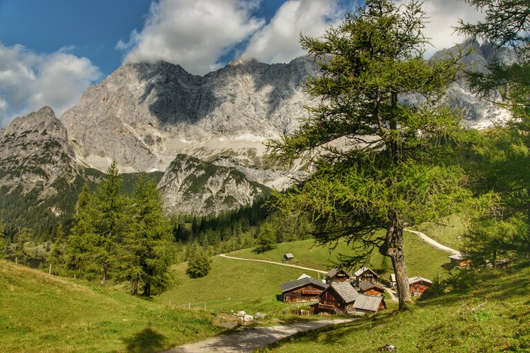 Almabtrieb in Ramsau am Dachstein | © Marlene Eggmayr