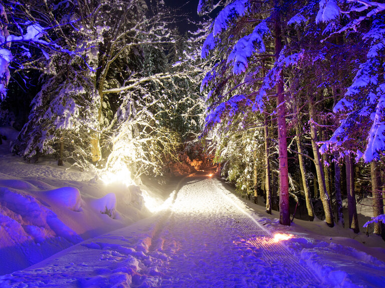 Mühlen Advent in Ramsau am Dachstein | © Michael Simonlehner