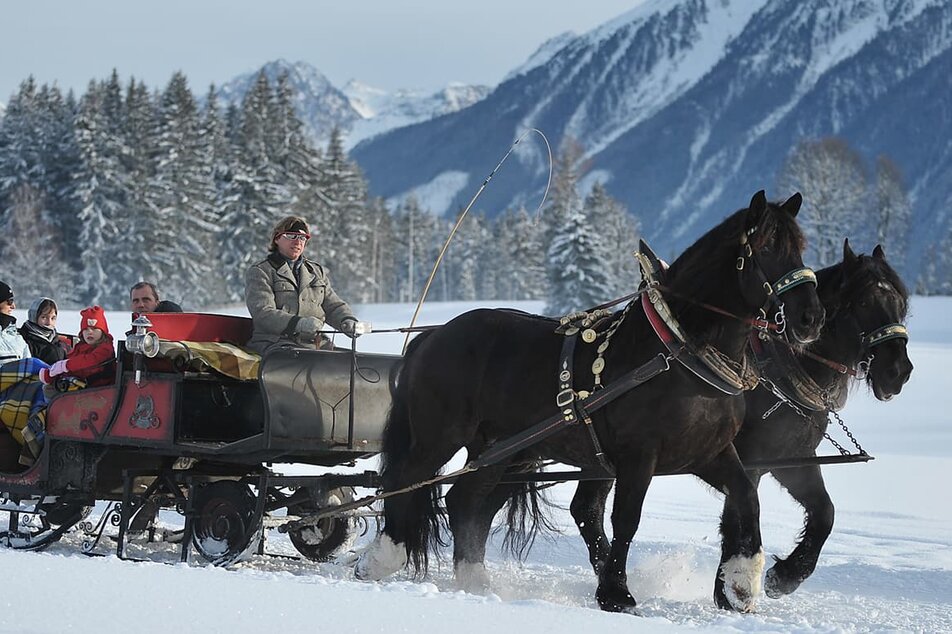 Horse Drawn Sleigh and Carriage Rides Zechmannhof - Impression #1