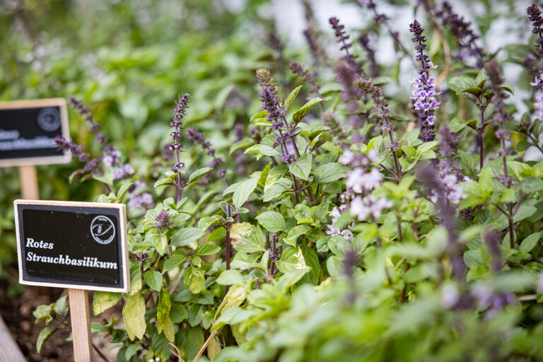 Natur- und Wellnesshotel Höflehner | © Netzwerk Kulinarik wildbild