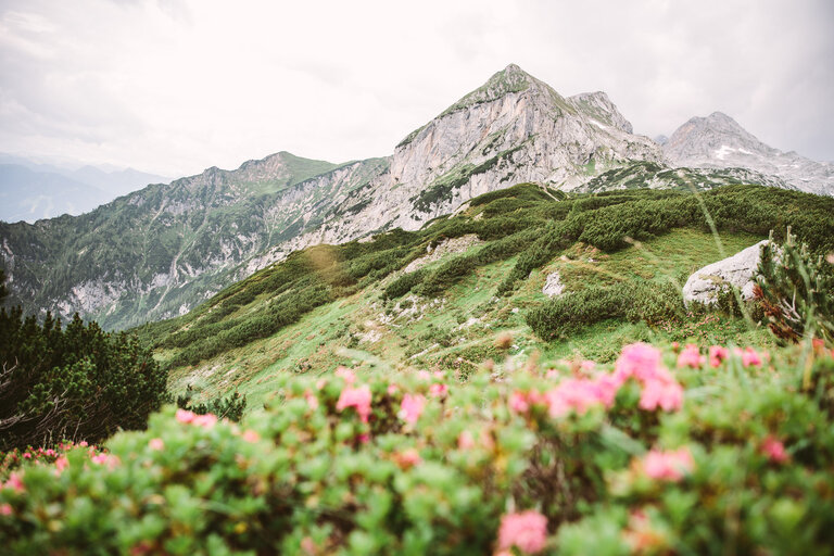 Dachstein sun-hike - Impression #2.2 | © Lady Venom