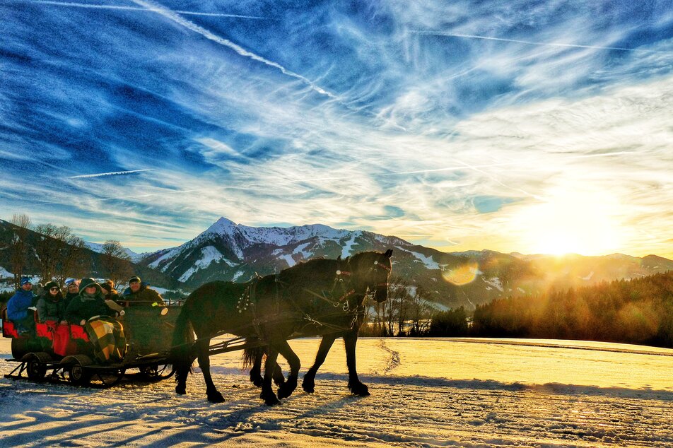 Pferdeschlittenfahrt Ramsau am Dachstein | © Minzlhof