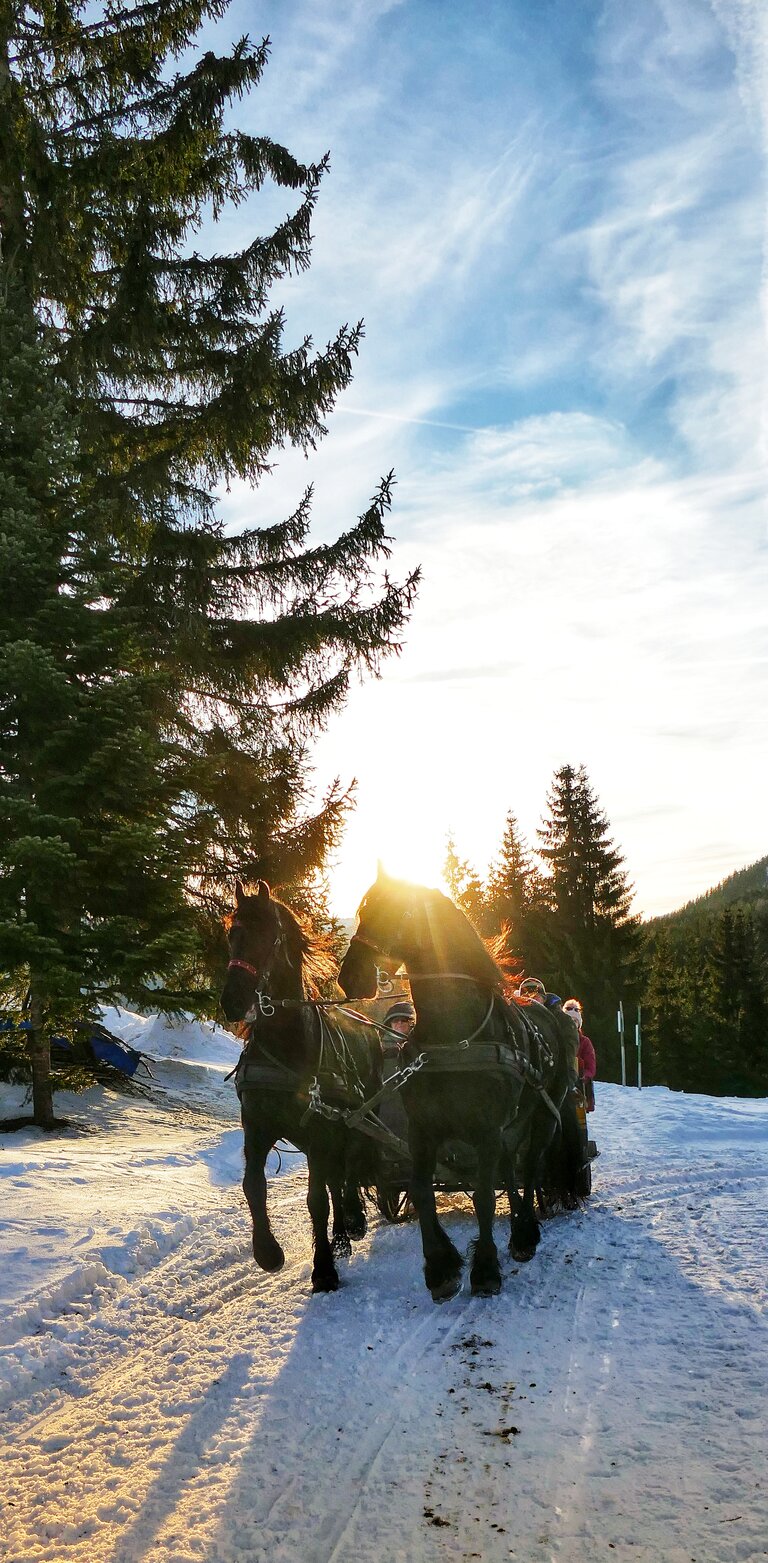 Pferdeschlittenfahrt Ramsau am Dachstein | © Minzlhof