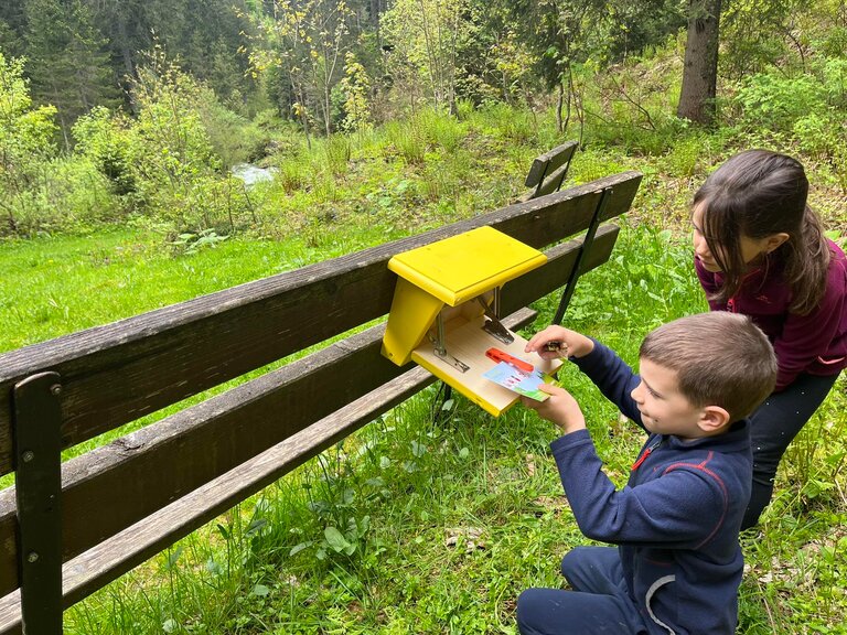 Family Adventure Hike  - Impression #2.2