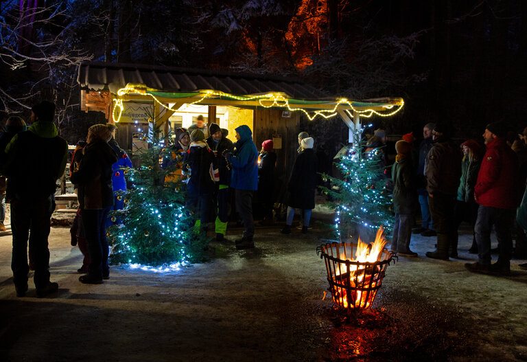 Advent Magic in the Talbachklamm - Impression #2.6 | © Herbert Raffalt